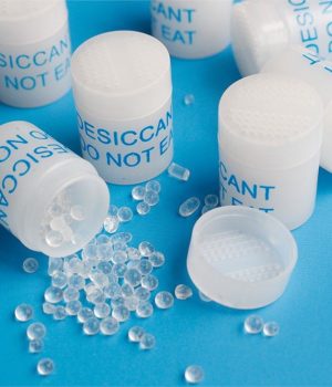 WhatsApp Image 2025-09-16 at 2.10.03 PM